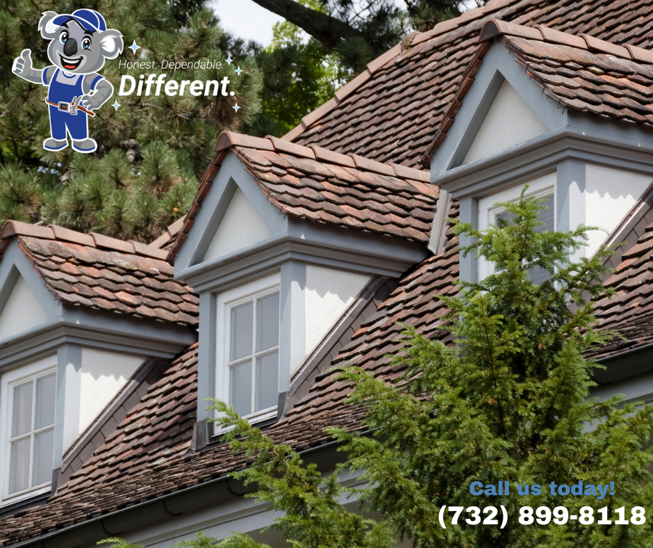 roof cleaning roof plus new jersey point pleasant