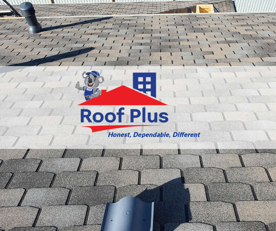 Roofing Services in Asbury Park, NJ. Roof Plus